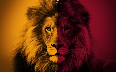 广发电竞热评-佩洛娃助攻队友爆射破网