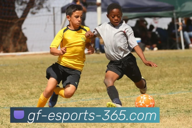 广发电竞365平台生态图